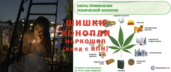 трава Балахна