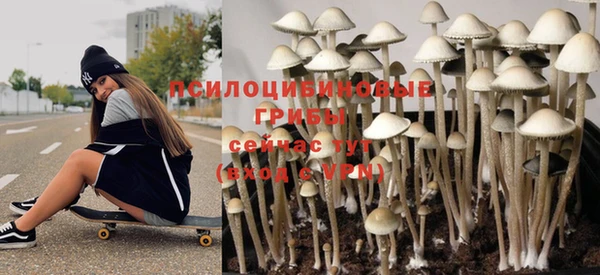 трава Балахна