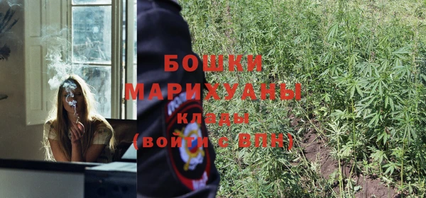 прущие крисы Баксан