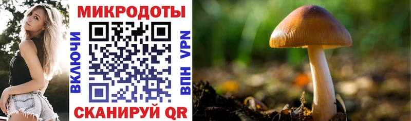 наркота  Купино  Псилоцибиновые грибы мухоморы 